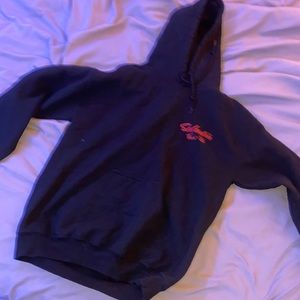 COPY - Troye Sivan Surburbia Tour 2016 Hoodie